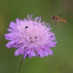 fotokurs fyrkantsbild 1 Fotokurs